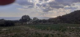 Satılık Tarla * Orta Burun Mevkii
