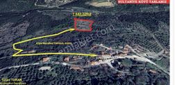 Selçuk Sultaniye Köyü Tek Tapu 7642 M2 Zeytinlik