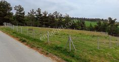 Geyve Sekiharmanda 1.865 M² Satılık Yola Cepheli Tarla