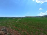 Meram Sarıkızda Müstakil Tapulu 8.202 M2 Tarla