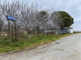 Yeniçiftlik Komşu Mahallesi Çeşmeli De 301 M2 Yatırımlık Tarla