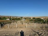 Tek Tapu !!! Cittaslow Kenti Güdül Güneyce'de Satılık 4782 M2 İmarlı Satılık Arsa