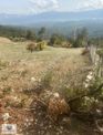 Kaş Gürsu Da Müstakil Tapulu Arsa...