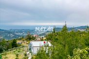 Alanya Mahmutseydi’de 801 M² Satılık Tarla