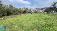 Marmaris Bozburun'da Yerleşim Yeri İçerisinde Fırsat Tarla