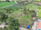 Menderes Turyap'tan Yeniköy'de 5000m² Satılık Tek Tapu Tarla
