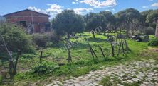 Bergama Kozak Hisar Köyünde Satılık İmarlı Arsa