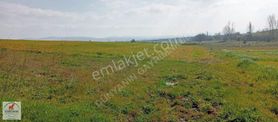 Çanakkale Biga Doğancı Köyünde 2921m2 Satılık Tarla