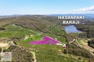 Resmi Yola 115 Metre Cephesi Bulunan 10 Dönüm Bakımlı Fındıklık