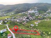 Akyazı Kuzuluk'ta 3.064m² Doğa Manzaralı Satılık Bahçe Arazi