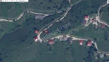 Z Group'dan Taksitle Doğanın İçerisinde Arsa Sahibi Ol !