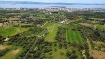 Çanakkale Lapseki Çardak'ta Yolu Olan Satılık 3490 M2 Bağ