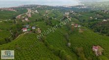 Trabzon Gayrimenkulden Kavala'da Satılık Arsa