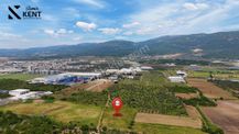 Kemalpaşa Mehmet Akif Ersoy Satılık 7.443m2 Bahçe