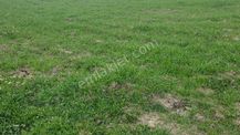 Satılık 31.992 M2 Tarla