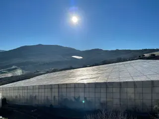 !!kaçırılmaz Yatırım Fırsatı Kurulu Düzen Muz Serası!!