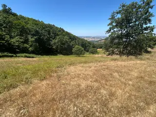 Kocaeli Karamürsel Çamdibi Mahallesi 4858 M2 İmarlı Satılık Tarla
