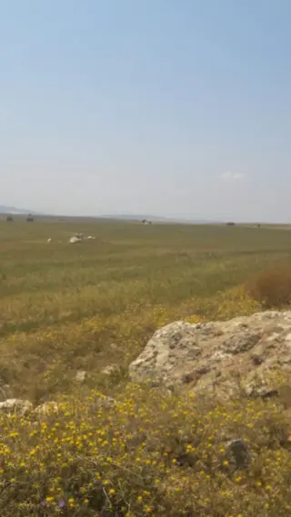 Sahibinden Satılık Tarla Eskişehir
