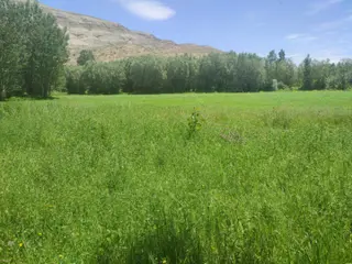 Sahibinden Karpınar Çiftliği