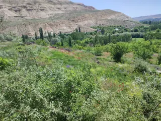 Sahibinden Karpınar Çifliği Arsaları