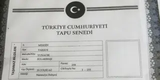 Sahibinden Sahibinden Yenice Yunacıkta Narenciye Bahçesi 39.519 M2