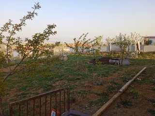 Sahibinden Çamlık Yanı Hazır Bahçe Son 1 Hafta