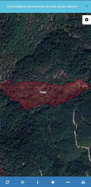 Bergama Göbeller Mah Satılık Fıstıklık