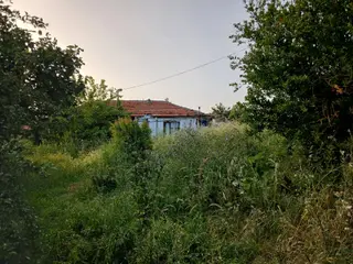 Bursa Karacabey Hayırlar Mhde Satılık Bahçeli Ev 2750m2 Bursa Karacabey Hayırlar Mhde Satılık Bahçeli Ev 2750m2