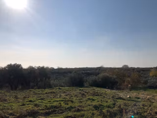 Şarköy De Işıık Emlaktan İğdebağları Mah De 2550 M2 Tarla