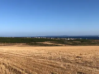 Şarköy De Işık Emlaktan Kızılcaterzi Mah De 30.000 M2 Tarla
