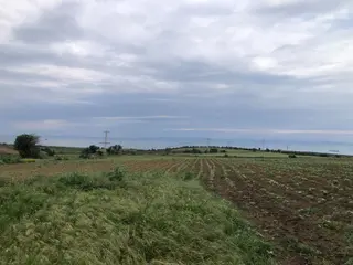 Şarköy De Işık Emlaktan Kocaali Mah De 1450 M2 Tarla