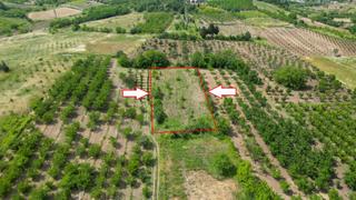 Kocaeli Karamürsel Akçat %5 İmarlı 1955 M2 Satılık Tarla