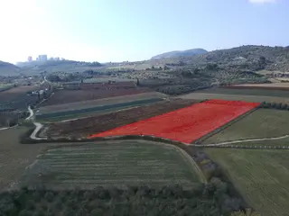 Kuşadası Değirmendere De Satılık 12400 M2 Zeytin, Bağ Ve Ceviz Bahçesi