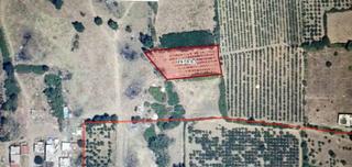 Bursa Kılıç Tan Vakıf Merkezde Satılık 1800m2 Şeftali Bahçesi