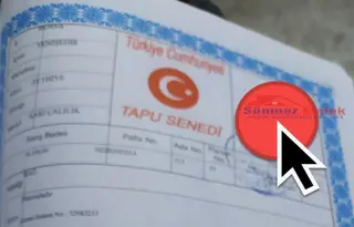 Yenişehir Fethiye Mah: Acil Satılık 1600m2 Tarla Nitelik Bağ Yenişehir Fethiye Mah: Acil Satılık 1600m2 Tarla Nitelik Bağ