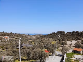 Morçiçek'ten Mordoğan Köyüne Çok Yakın Deniz Manzaralı Tarla