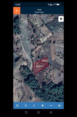Bergama Kırcalar Mah Fırsat Zeytinlikler Satılık