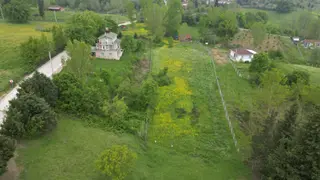 Kocaeli Karamürsel Çamdibi Satılık 593 M2 Hobi Bahçesi
