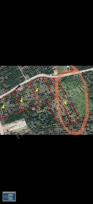 Arden Gyo'dan Kavakdere Orhanlı Yol Ayrmında Köy İçi İmarlı Arsa