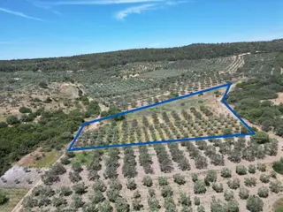 Çaltılıdere'de Kupon Satılık 4000m2