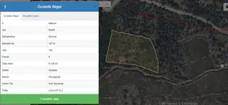 Yuvam Gayrimenkul'den Salihli Şirinyer Mah. 8.129 M2 Satılık Zeytinlik