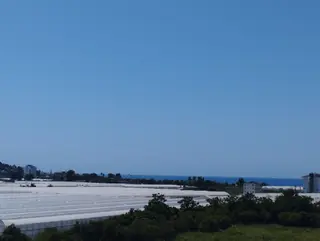 Alanya Demirtaş Mah Satılık Daire
