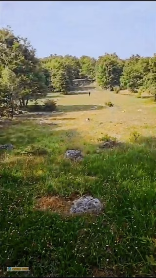 Gönen Şaroluk Mahallesin De Yatırımlık Değerli Arazi
