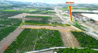 Akdam'da Deliçaya Sıfır, Otobana Yakın 11.065 M2 Müstakil Tarla