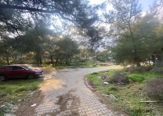Balıkesir Ayvalık Camlık Ta Satılık 1540 Metre Kare Arsa