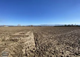Balıkesir Burhaniye De Satılık 74.000 Metre Kare Tarla
