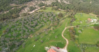 Ayvalık Camlık Ta Satılık 2213 Metre Kare Villa İmarlı Arsa.