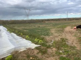 Kirklareli Merkez Asılbeyli 8 Dönüm Tarla Satılık