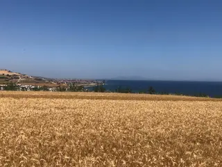 Şarköy De Işık Emlaktan İstiklal Mah De 372 M2 0/25 İmarlı Arsa