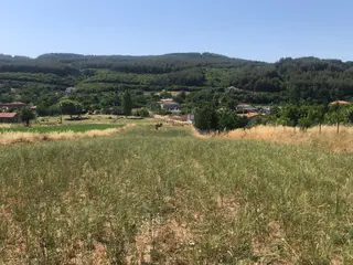 Şarköy De Işık Emlaktan Gölcuk Mah De İki Tapu 4750 M2 0/75 İmarlı Arsa